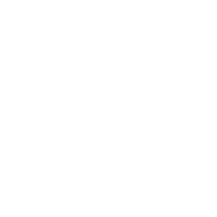本事業の詳細について（英語）